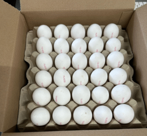 Vrije uitloop eieren wit doos 90 st.