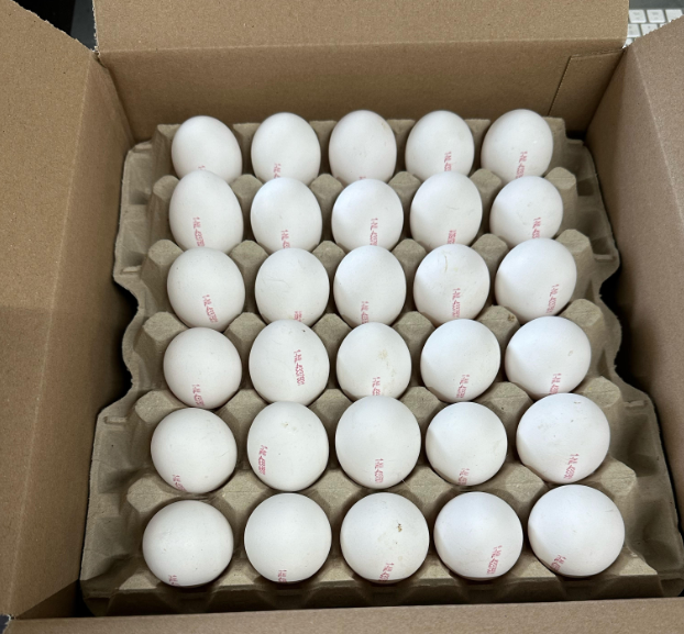 Vrije uitloop eieren wit doos 90 st.