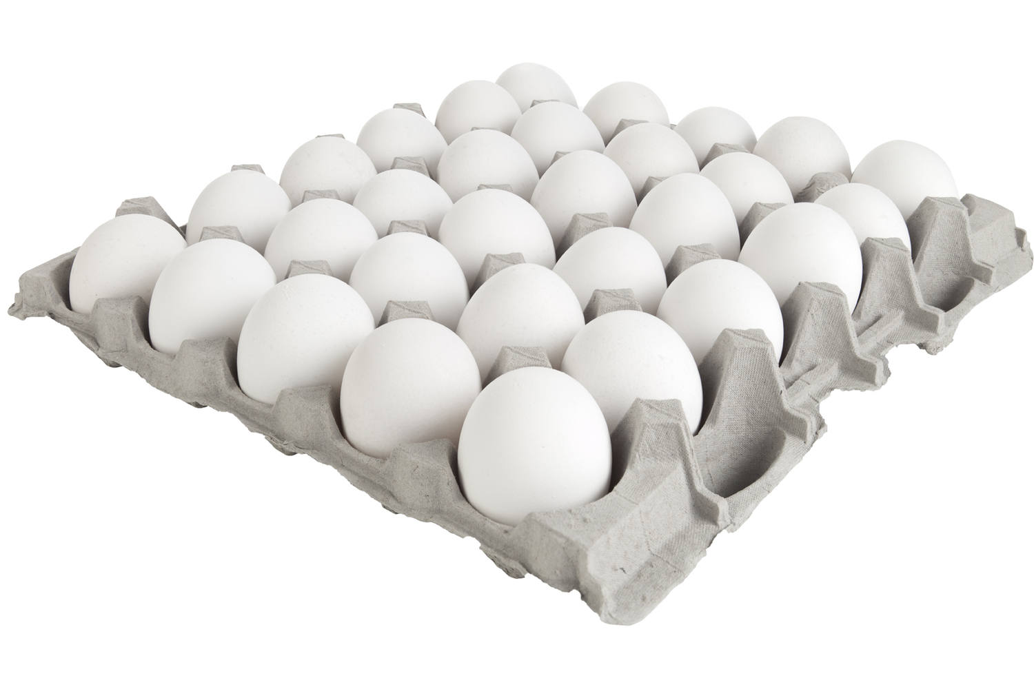 Eieren wit los op tray