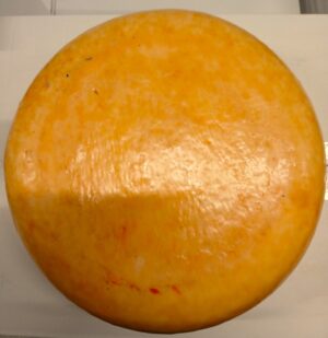 Geitenkaas Willig oud 50+ p/kg.