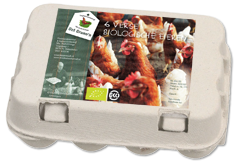 EKO-eieren verpakt (10-ers) p/st