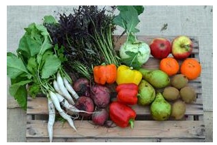 Combi groenten/fruit (2 personen) p/tas.