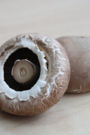 Portobello BIO krat 1,5 kg.