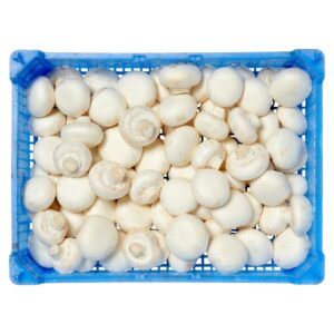 Champignons wit middel krat 2,5 kg.
