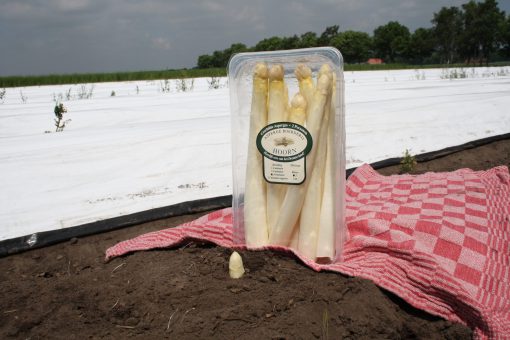 Asperges klasse B p/kg.