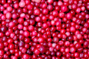 Cranberries BIO diepvries 1 kg.