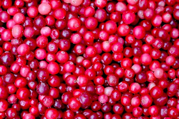 Cranberries BIO diepvries 1 kg.