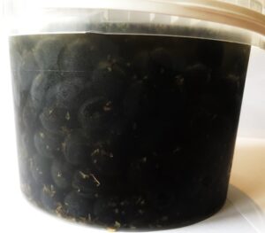 Olijven zwart knoflook z.p. emmer 2,5 kg