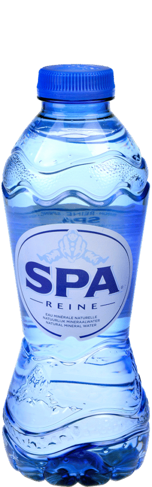 Chaudfontaine blauw PETfles 24x0,33 ltr.