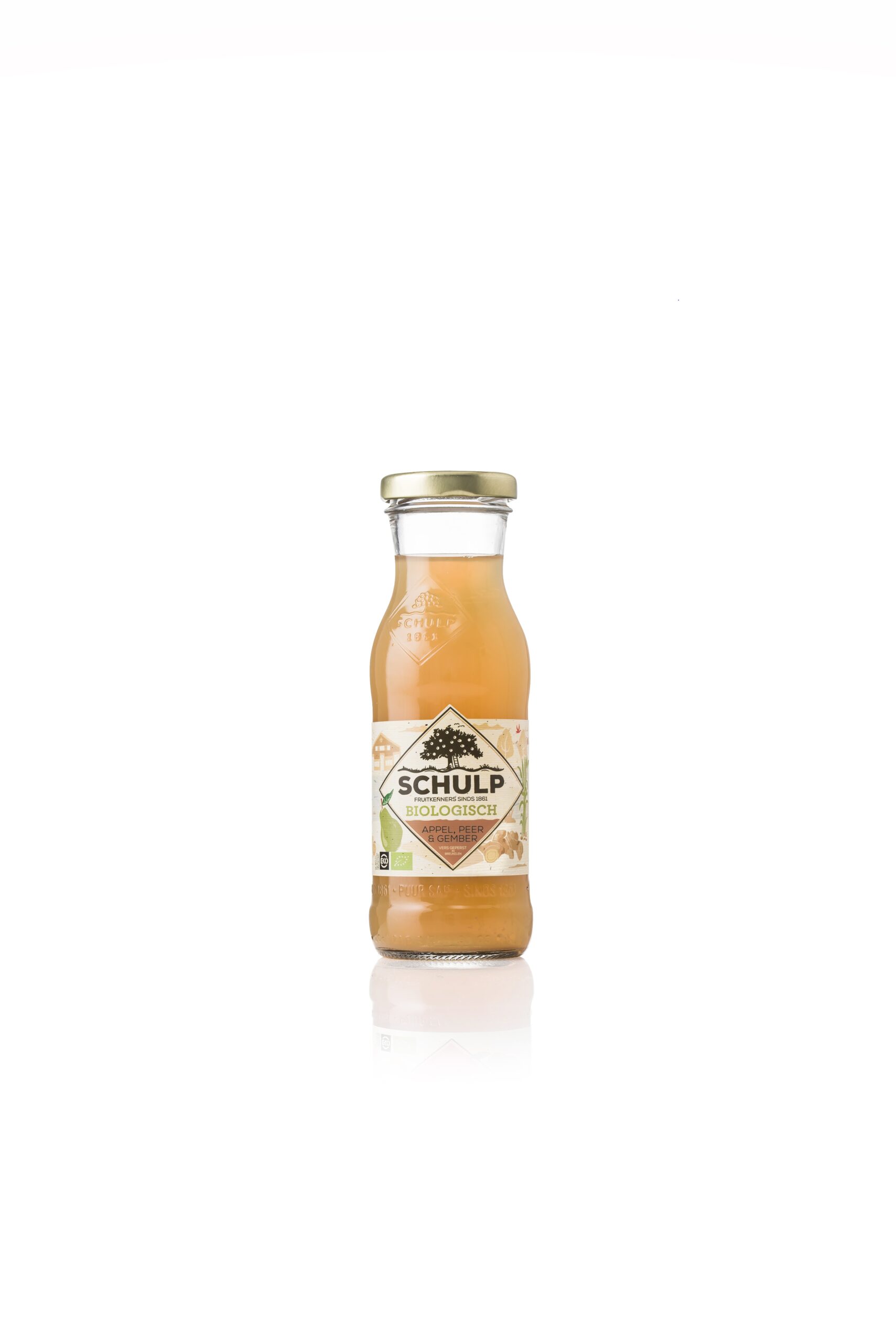 Schulp appel/peer/gember BIO 15x0,2 ltr.