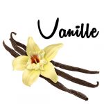 ForIce pasta vanille klassiek 3 kg.