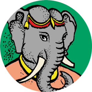 Thee Darjeeling 75 gr.