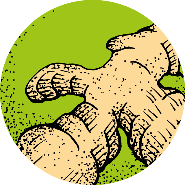 Thee Gember (g/bio) 100 gr.