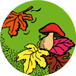 Thee Herfstmagie (z/bio) 80 gr.