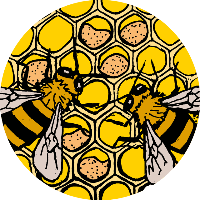 Thee Honingbos BIO (z) 85 gr.