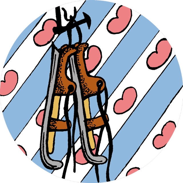 Thee Forest Fruit bio (z) 85 gr.