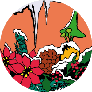 Thee Christmas Carol (g/bio) 60 gr.