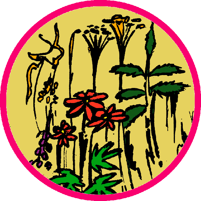 Thee Kruidenhofje (k/bio) 50 gr.