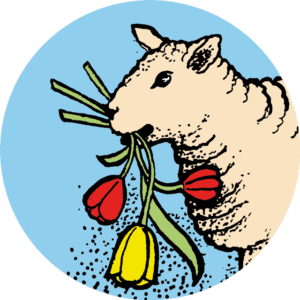 Thee Lentekriebel (z/bio) 60 gr.