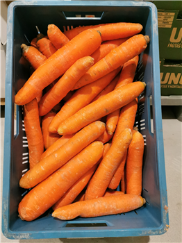 Winterpeen oranje 20 kilo p/ kist