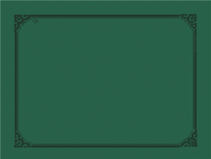 Placemat donkergroen doos 500 st.