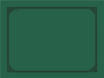 Placemat donkergroen doos 500 st.