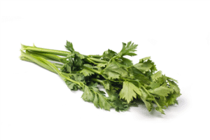 Selderij blad bosje p/st.