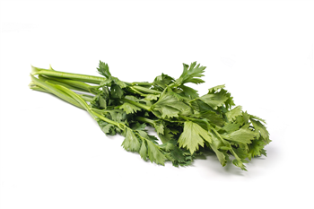 Selderij blad bosje p/st.