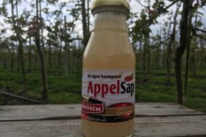 Fruitsap 100% assorti 0,25 ltr.