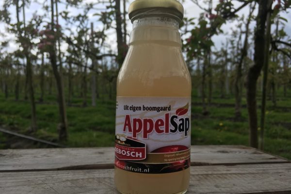 Fruitsap 100% assorti 0,25 ltr.