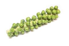 Spruiten op stronk BIO 8x1 stuks