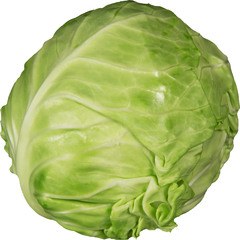 Witte Kool Demeter 10x1 stuks