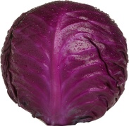 Rode Kool Demeter 6x1 stuks