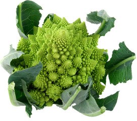 Romanesco BIO 10x1 stuks