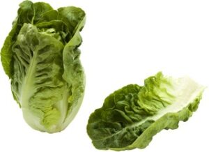 Sla Bind (little gem) BIO 1x2 stuks