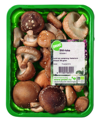 Shii-take verpakt BIO 1x100 gr.