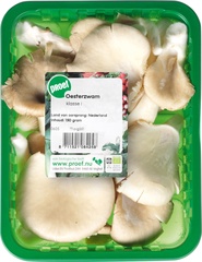 Oesterzwammen verpakt BIO 1x150 gr.