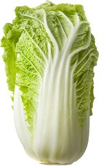 Chinese Kool BIO 8x1 stuks