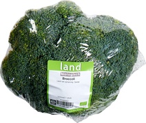 Broccoli BIO 1x400 gr.