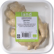 Gember BIO 1x100 gr.