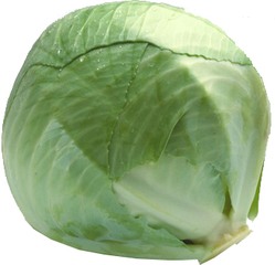 Witte kool BIO p/st.