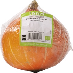 Pompoen Oranje BIO p/st.