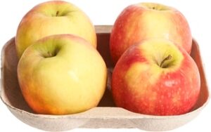 Elstar  Appel BIO 1x600 gr.