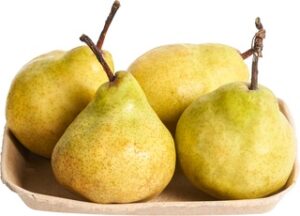 Peer Conference BIO 1x600 gr.