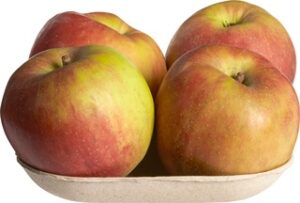 Appel Rode van Boskoop BIO 1x600 gr.