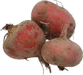 Biet rood BIO 1x500 gr.