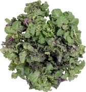 Flower Sprouts BIO 1x200 gr.