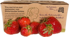 Aardbeien BIO 8x200 gr.