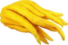 Buddha hand BIO 4x1 stuks