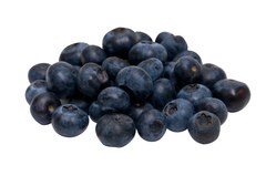 Blauwe Bessen BIO 10x250 gr.